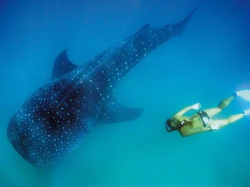 Culla Lodge Inhambane Luaran gambar