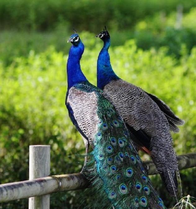 Culla Lodge Inhambane Luaran gambar